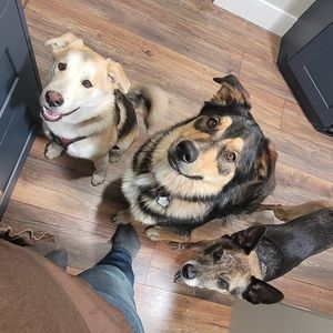 Meet your Posher, Bernie